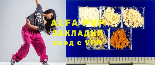 молекула духа Ельня