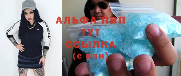 круглые Гусев