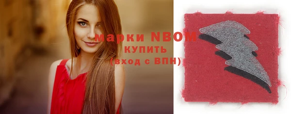 прущие грибы Усмань