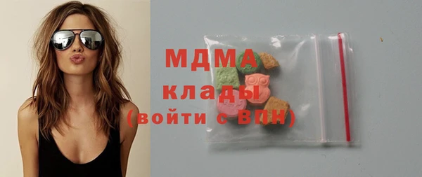 молекула духа Ельня