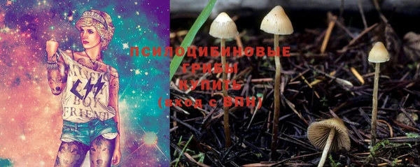 молекула духа Ельня