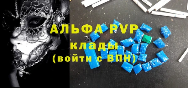 молекула духа Ельня