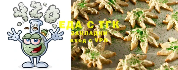 молекула духа Ельня