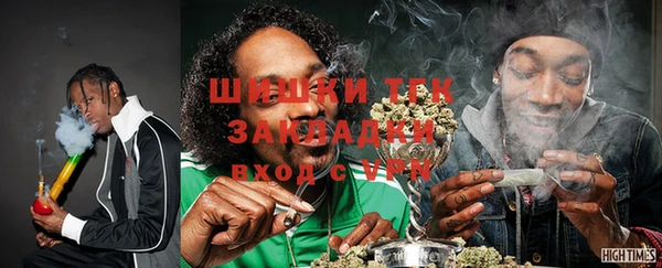 молекула духа Ельня