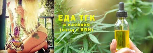 амф Гусь-Хрустальный