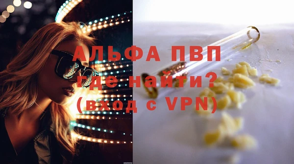 молекула духа Ельня