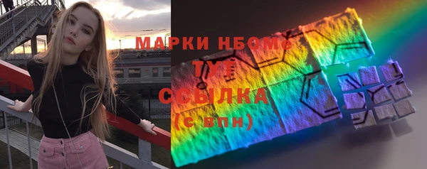 молекула духа Ельня