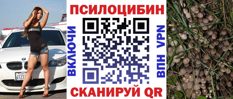 Псилоцибиновые грибы ЛСД купить цена Теберда